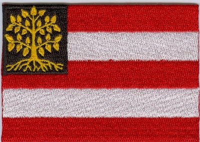 Applicatie Vlag 's-Hertogenbosch