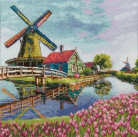 Tulip field 