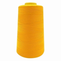 Overlock Garen Geel 2700 meter
